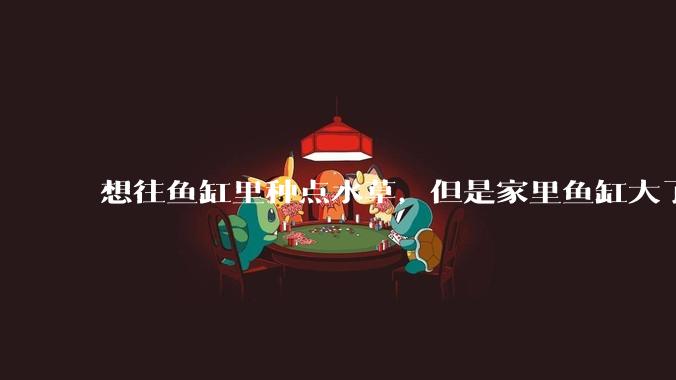 想往鱼缸里种点水草，但是家里鱼缸大了买水草泥或者底砂太贵了，有没有生活中可以替代的物品或其他建议？