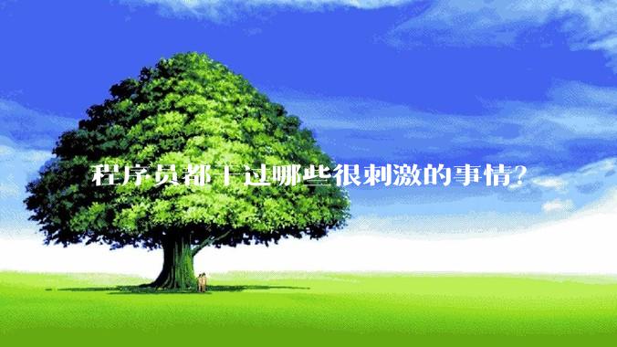 程序员都干过哪些很刺激的事情？
