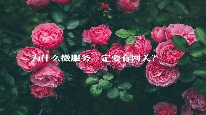 为什么微服务一定要有网关？