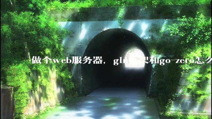 做个web服务器，gin框架和go-zero怎么选？