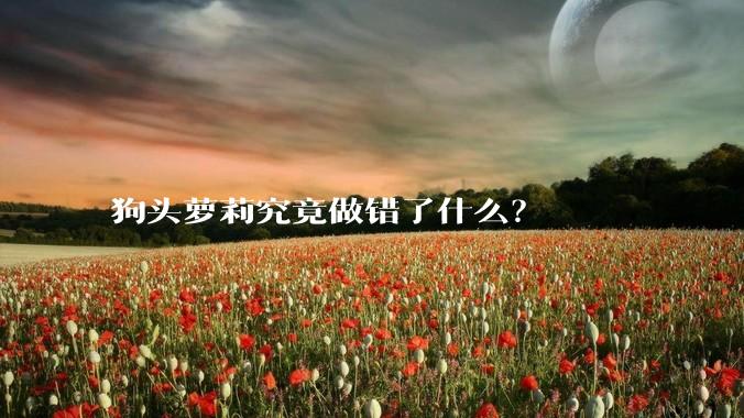 狗头萝莉究竟做错了什么？