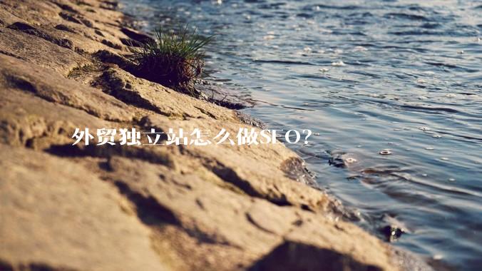外贸独立站怎么做SEO？