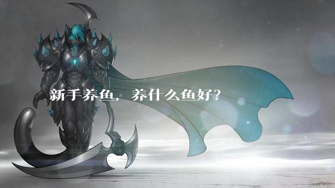 新手养鱼，养什么鱼好？