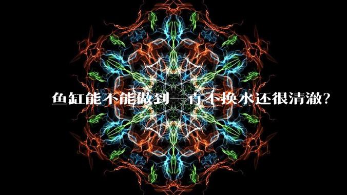 鱼缸能不能做到一直不换水还很清澈？
