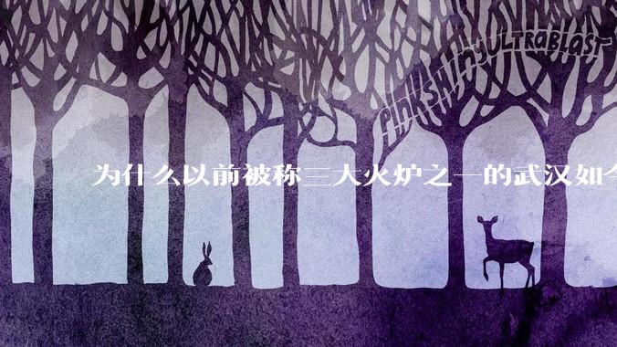 为什么以前被称三大火炉之一的武汉如今排不上“热度”号了？
